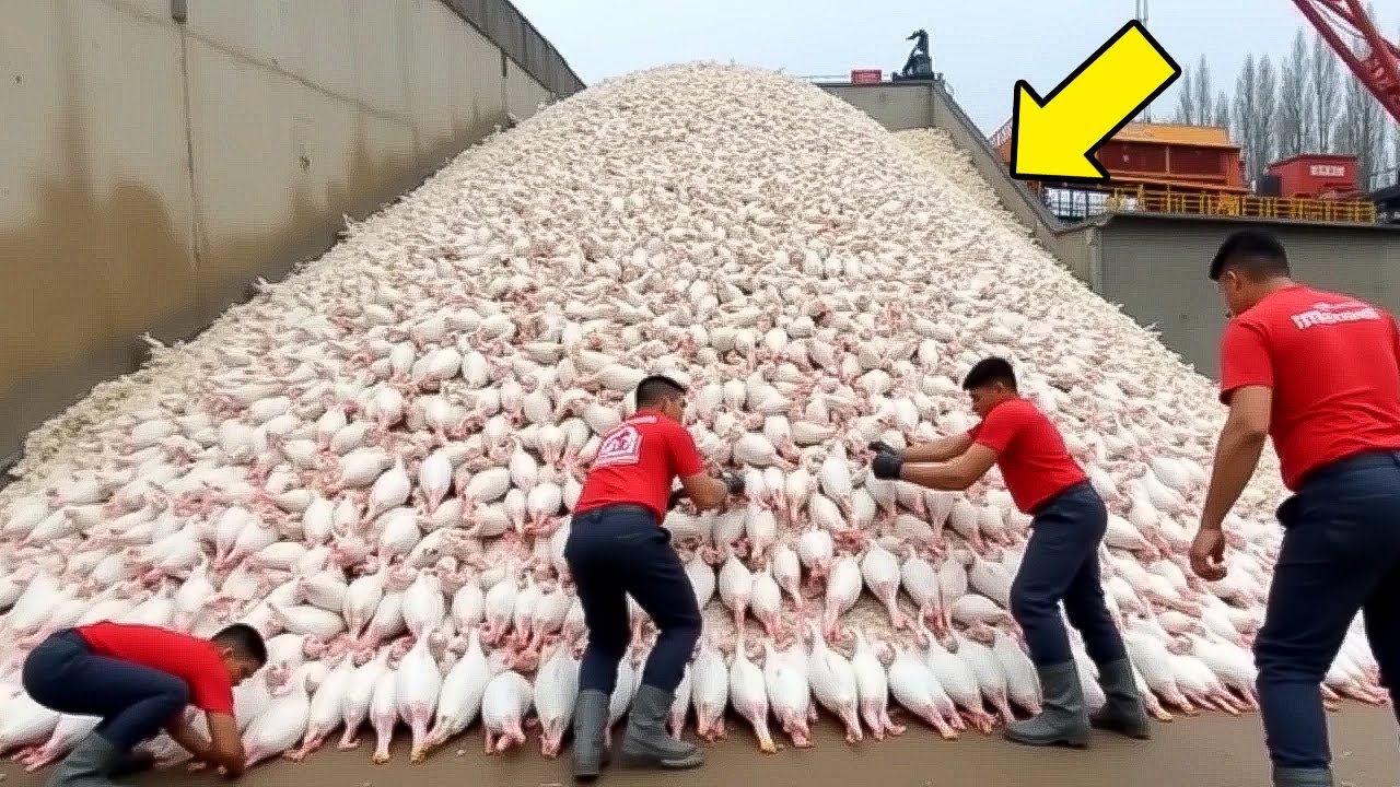 10 Strange Things You Will Only See in China