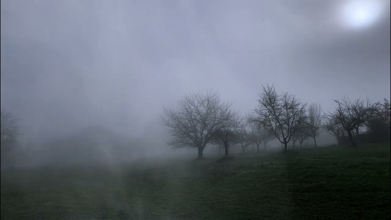 Fog ASMR 🌫️ Calming Nature Ambience for Deep Sleep, Relaxation & Stress Relief (No Music)