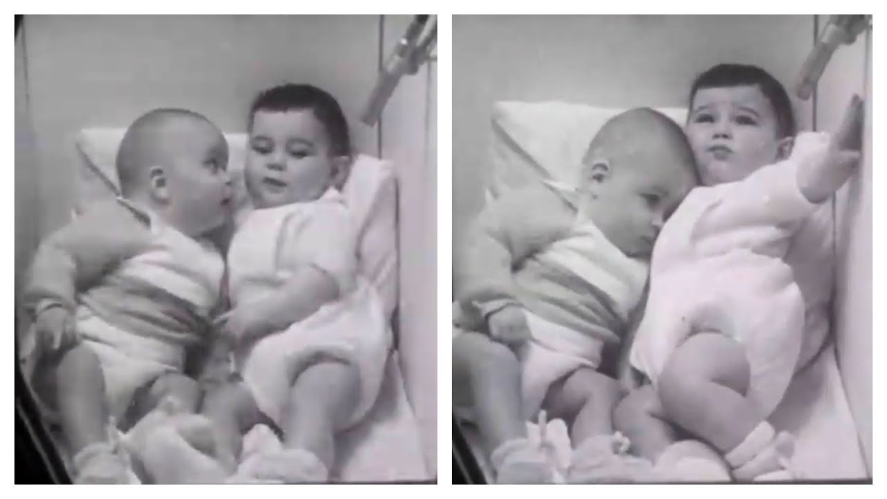 Social Interaction Between Infants in Their First Year | 1965 Study