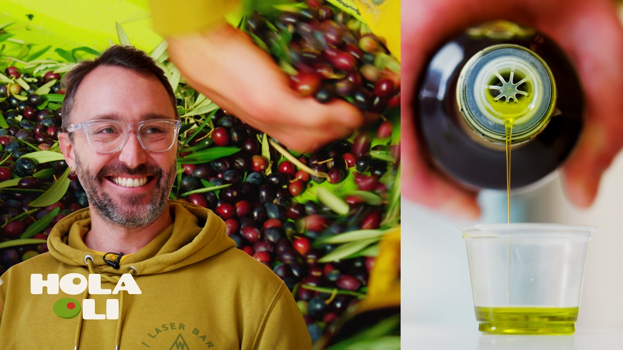 How Spanish Olive Oil is Actually Made | Mini-Doc