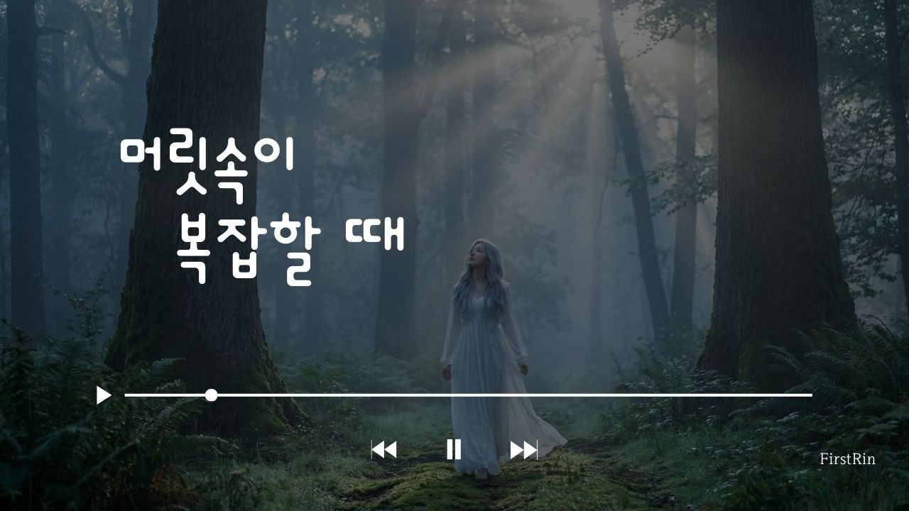 머릿속이 복잡할 때 떠나는 새벽 숲 산책 