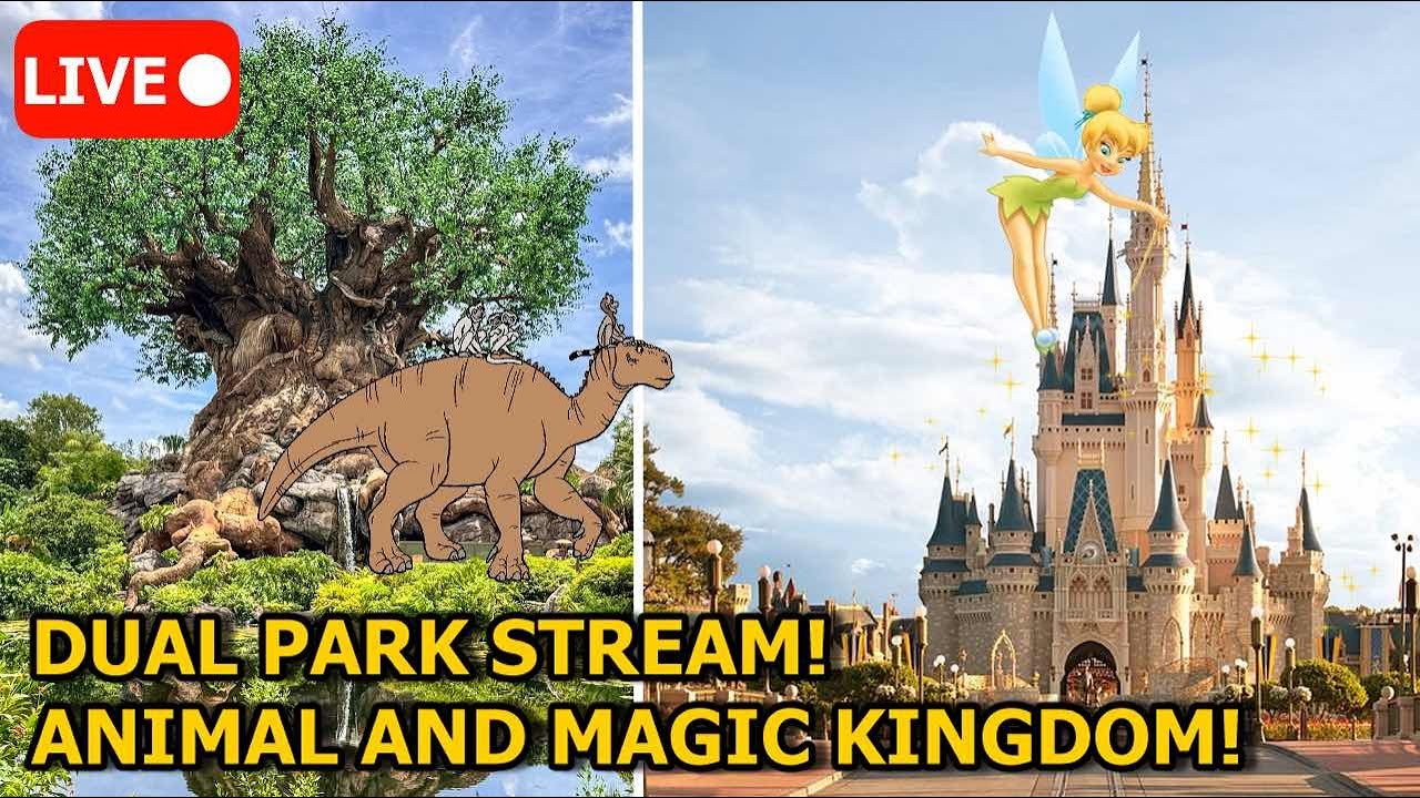 Magic Kingdom FIREWORKS AND STARLIGHT PARADE LIVE! ✨🦁🎆