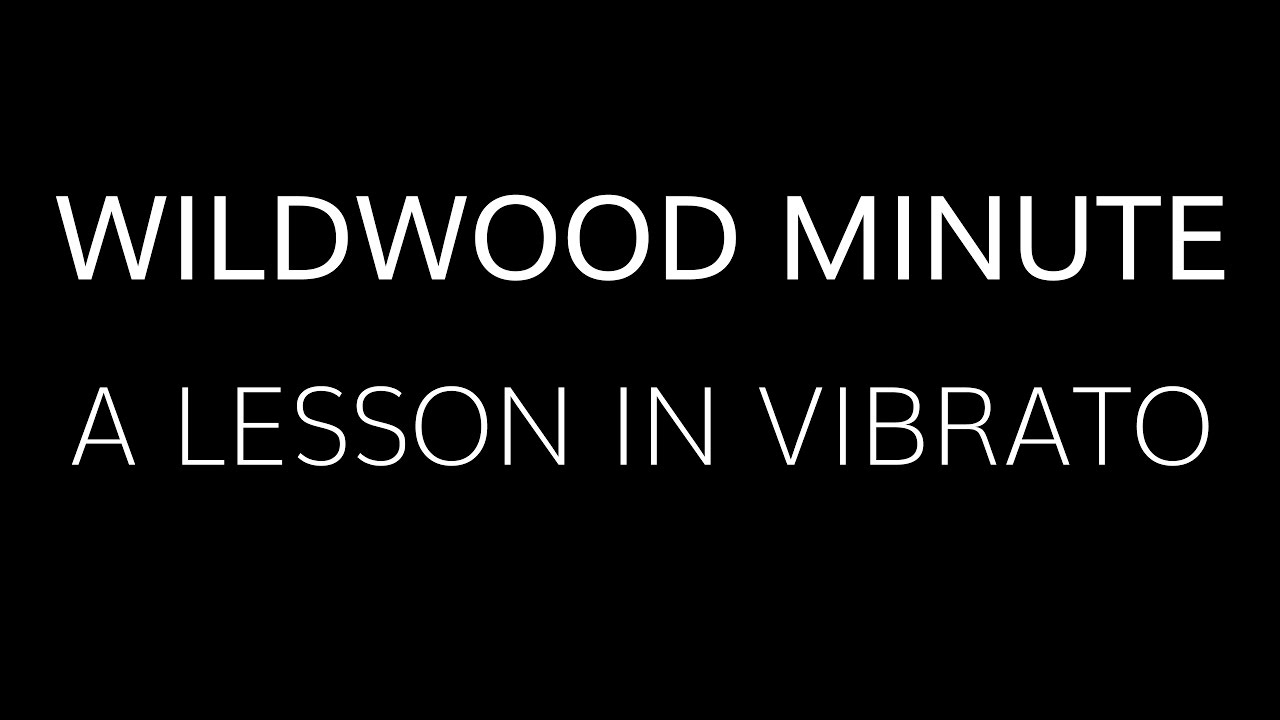 Peter Green / Danny Kirwan Inspired Vibrato  •  Wildwood Guitars