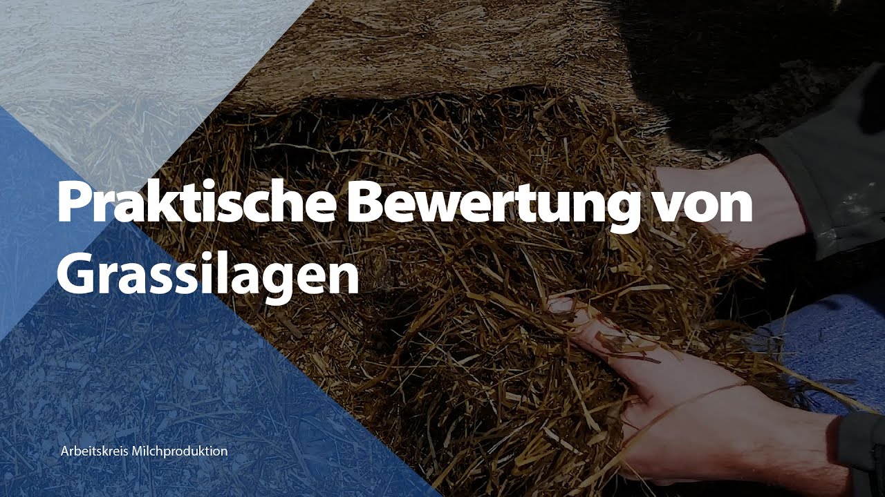 Praktische Bewertung von Grassilagen