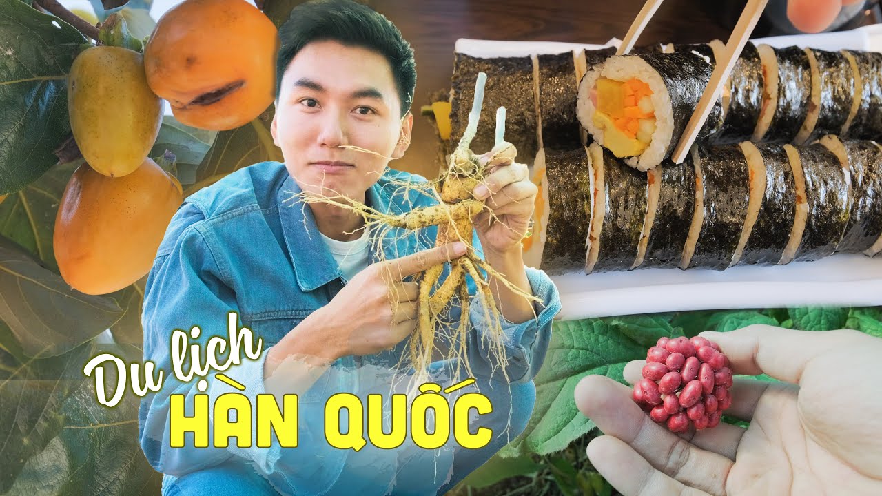 🇰🇷Du lịch ẩm thực Hàn Quốc #:1 Về quê đào và ăn nhân sâm