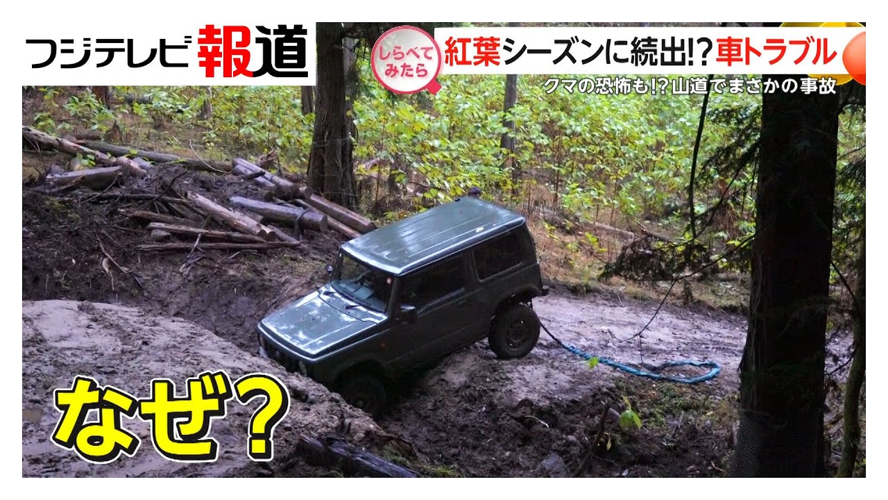 紅葉シーズンに続出!?車トラブル【しらべてみたら】