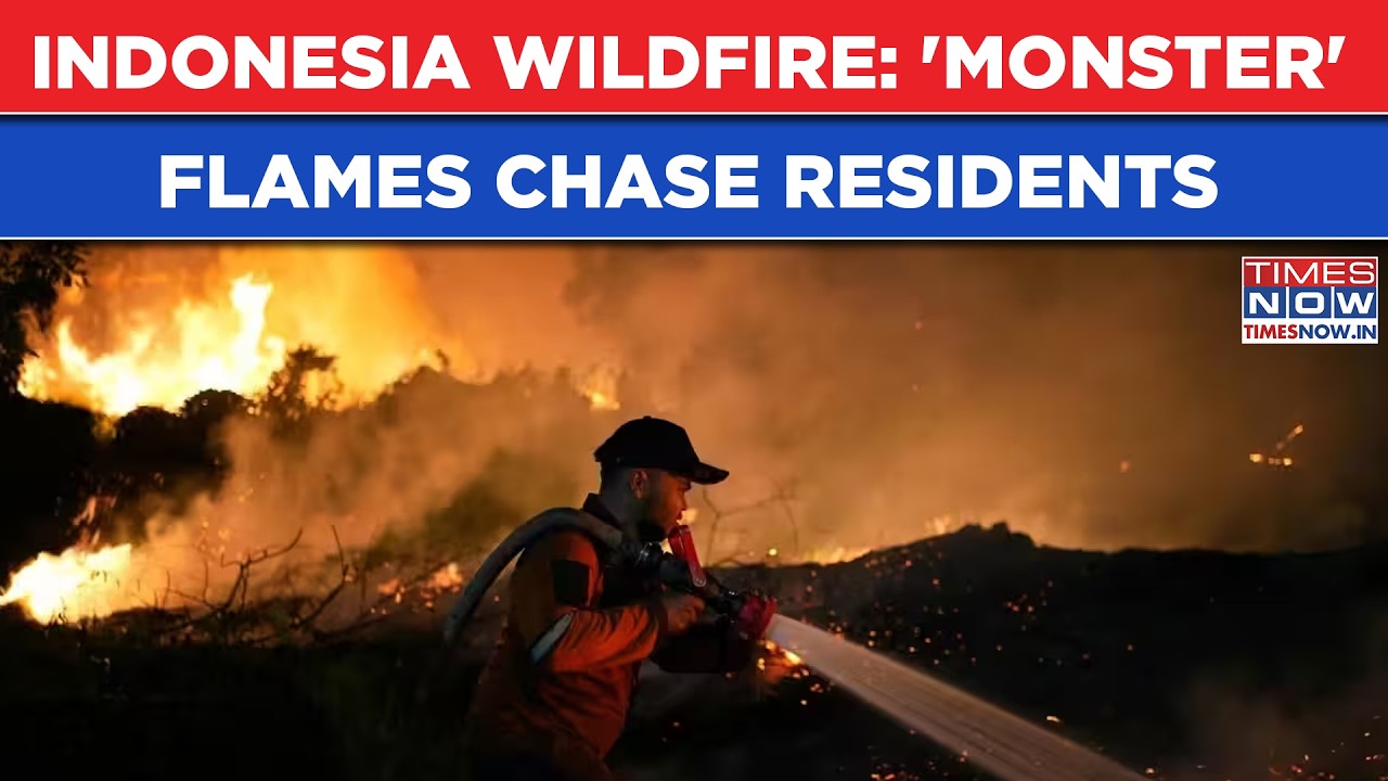 Indonesia Wildfire Horror: Raging Flames Close In On Homes | Residents 'Run For Life' Through Smoke