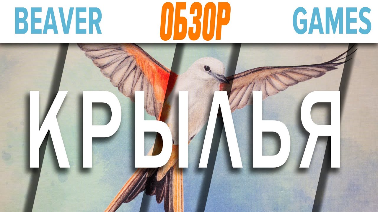Крылья \ Wingspan Настольная игра Обзор