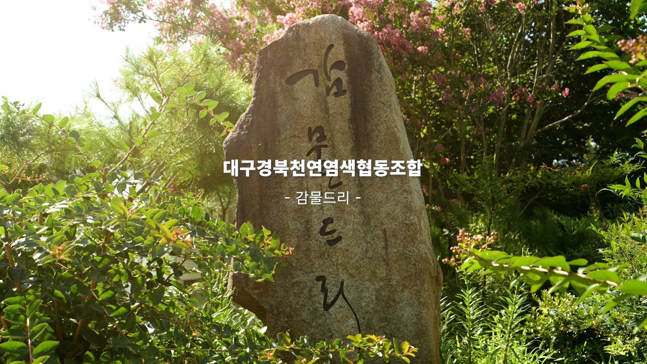 ✨감물드리-대구경북천연염색협동조합✨대구경북천연염색협동조합 #천연염색 #천연염색체험 #자연염색 #천연염색공예 #전통염색 #친환경염색 #지속가능패션 #자연에서온색 #슬로우패션
