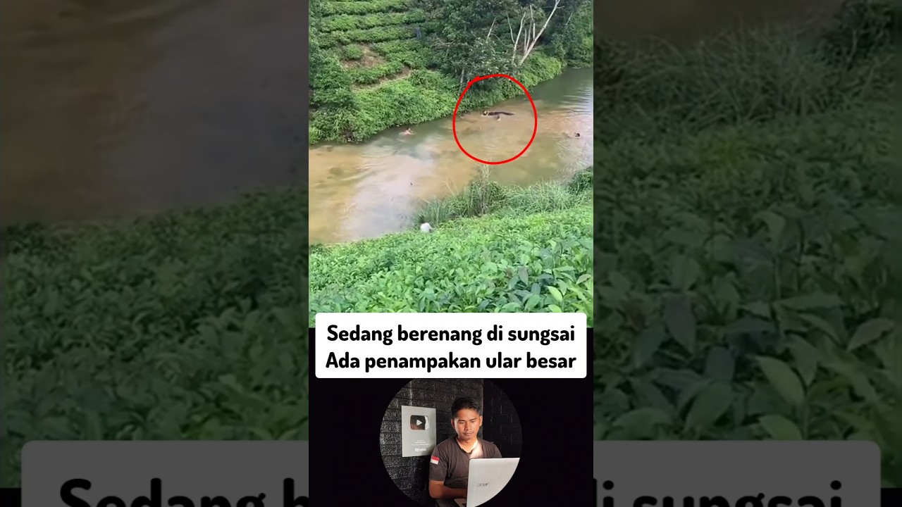 Detik-detik penampakan ular besar di sungai saat berenang #fishing #mancing #shorts