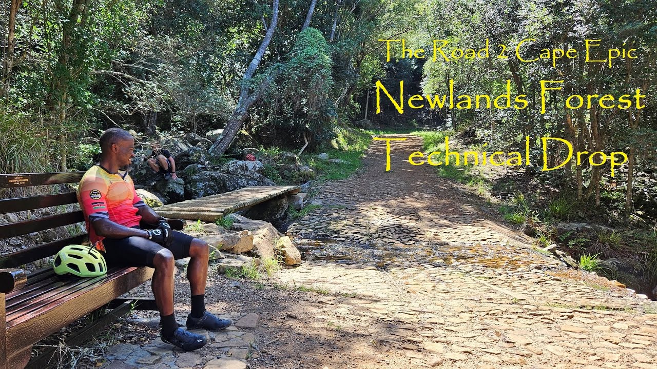 TR2CE: Newlands Forest Technical Drop