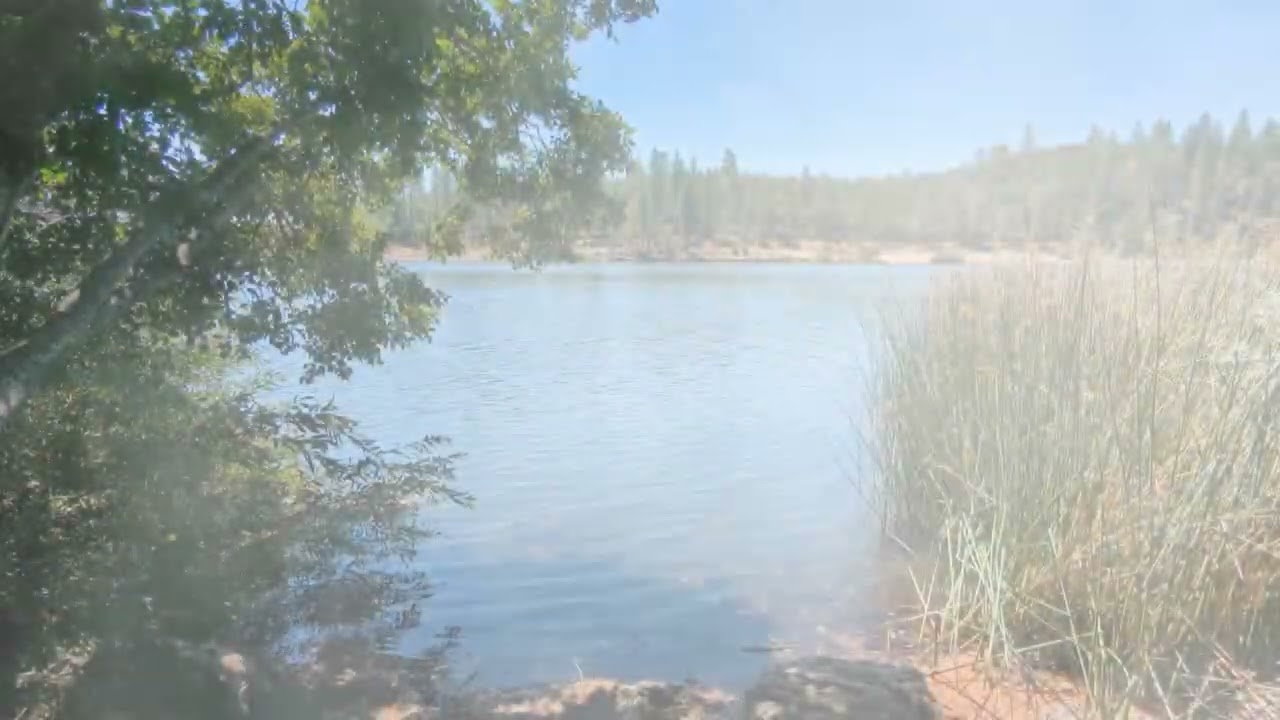 An enjoyable visit to Halsey Forebay in Auburn, CA.