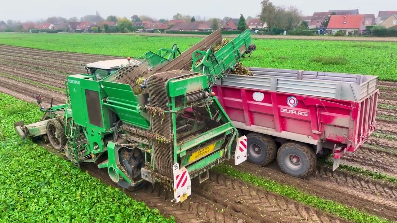 Doublé de Pouchain à l'arrachage d'endive avec la SARL Emaille au transport - Valtra Q/T/N