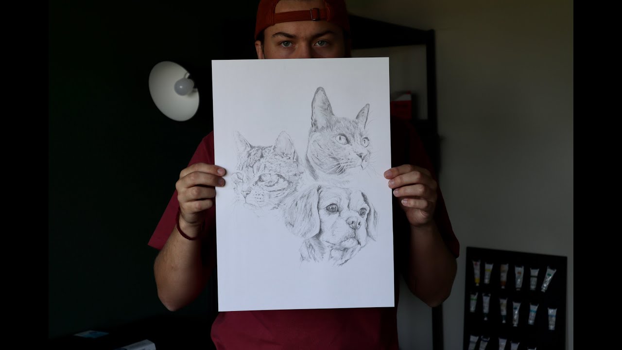 My Process for Drawing Pet Commissions