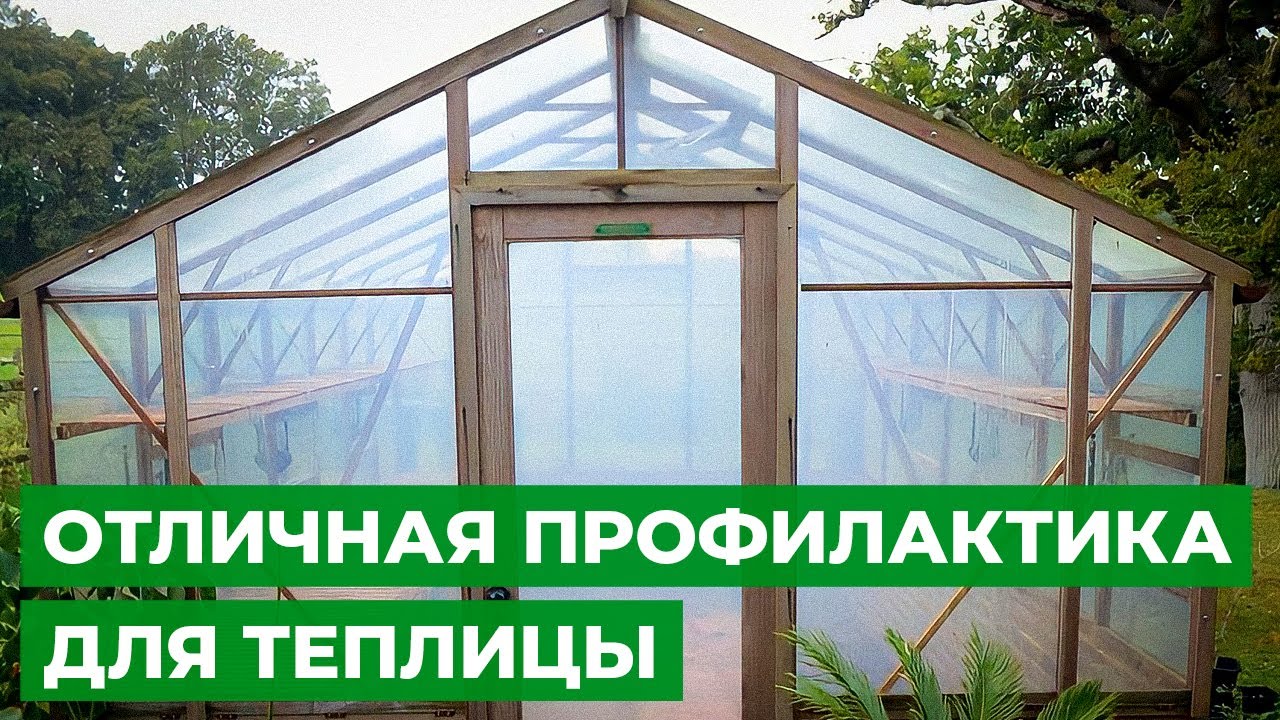 ТАБАЧНАЯ ШАШКА РЕШИТ ВСЕ ПРОБЛЕМЫ! Обработка теплиц, профилактика грызунов и вредителей!
