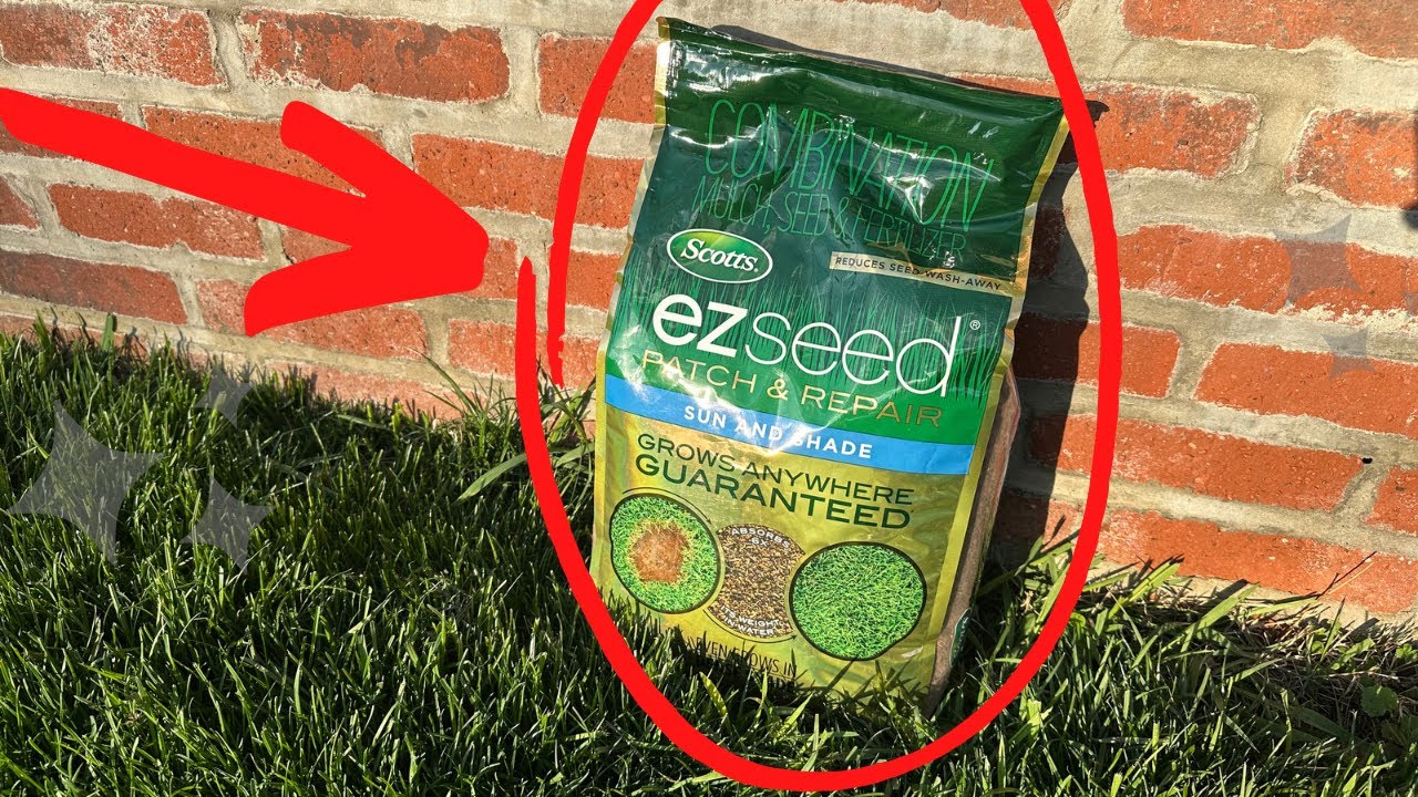 Scotts EZ Seed Patch and Repair Sun and Shade for Grass - 1 Minute Review