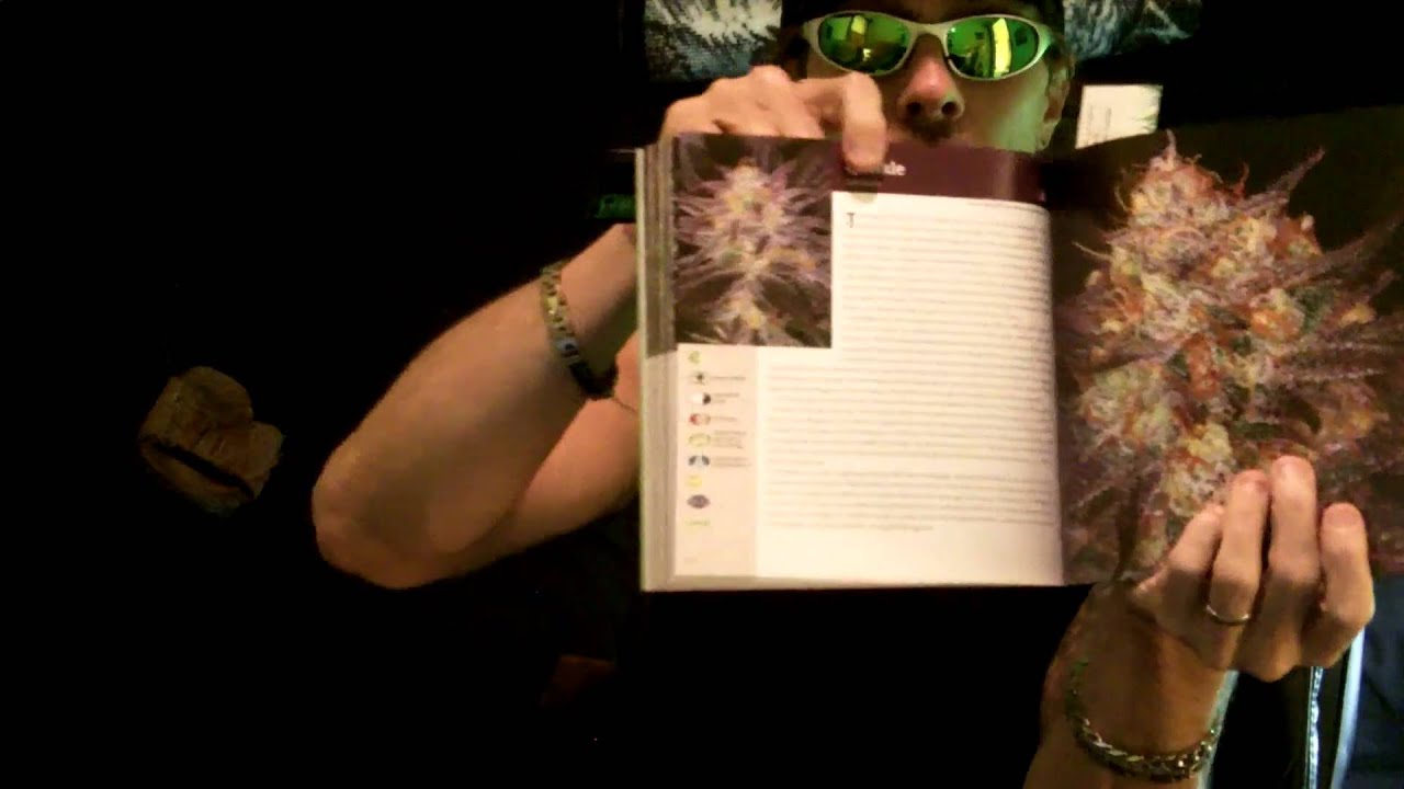 BigBook4Preview.MOV