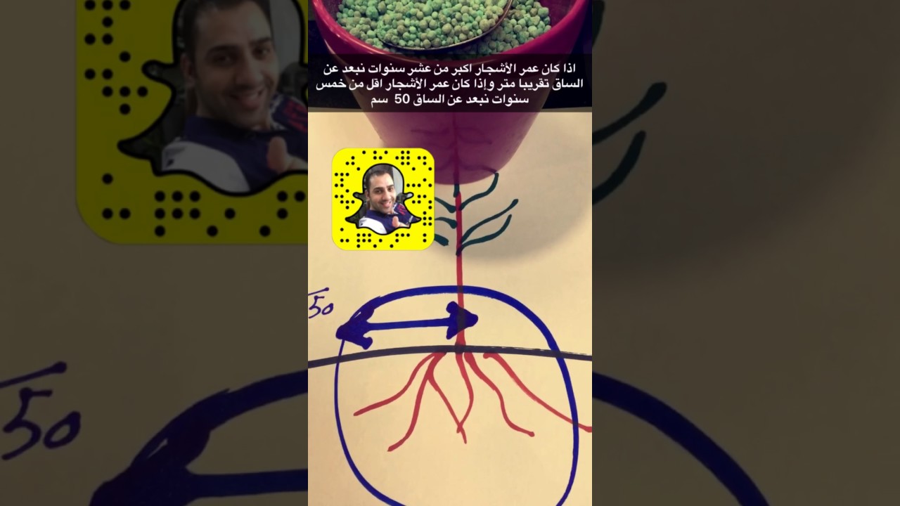 باقة للزراعة طريقة استخدام السماد المركب الجزء الأول