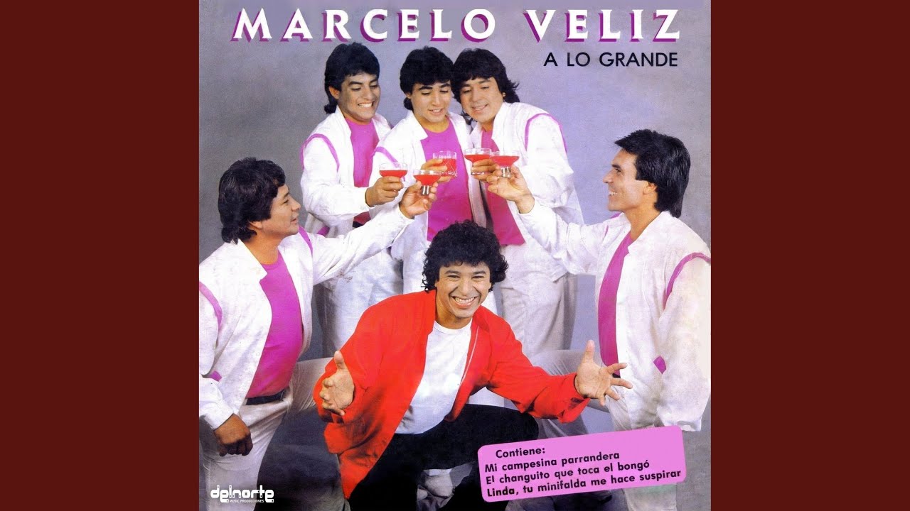 Enganchados / Me Dejaste Solo Y Sin Tu Amor / Caminito A San GIl / Silvia Raquel / Yo Te Canto...