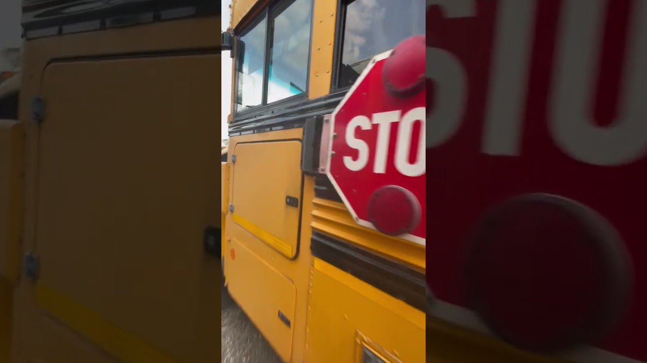 2017 Blue Bird Vision