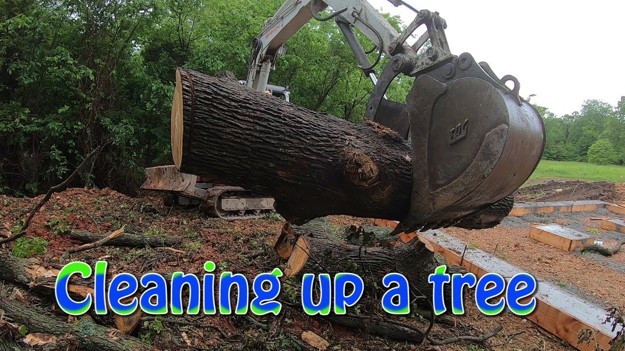 Cleaning Up A Tree With The Takeuchi TB153fr
