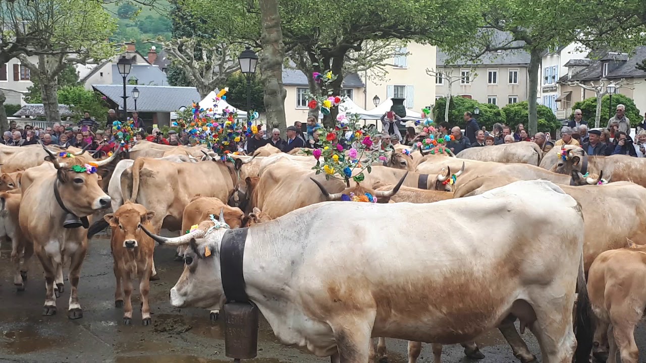F&ecirc;te &agrave; St Geniez d'Olt