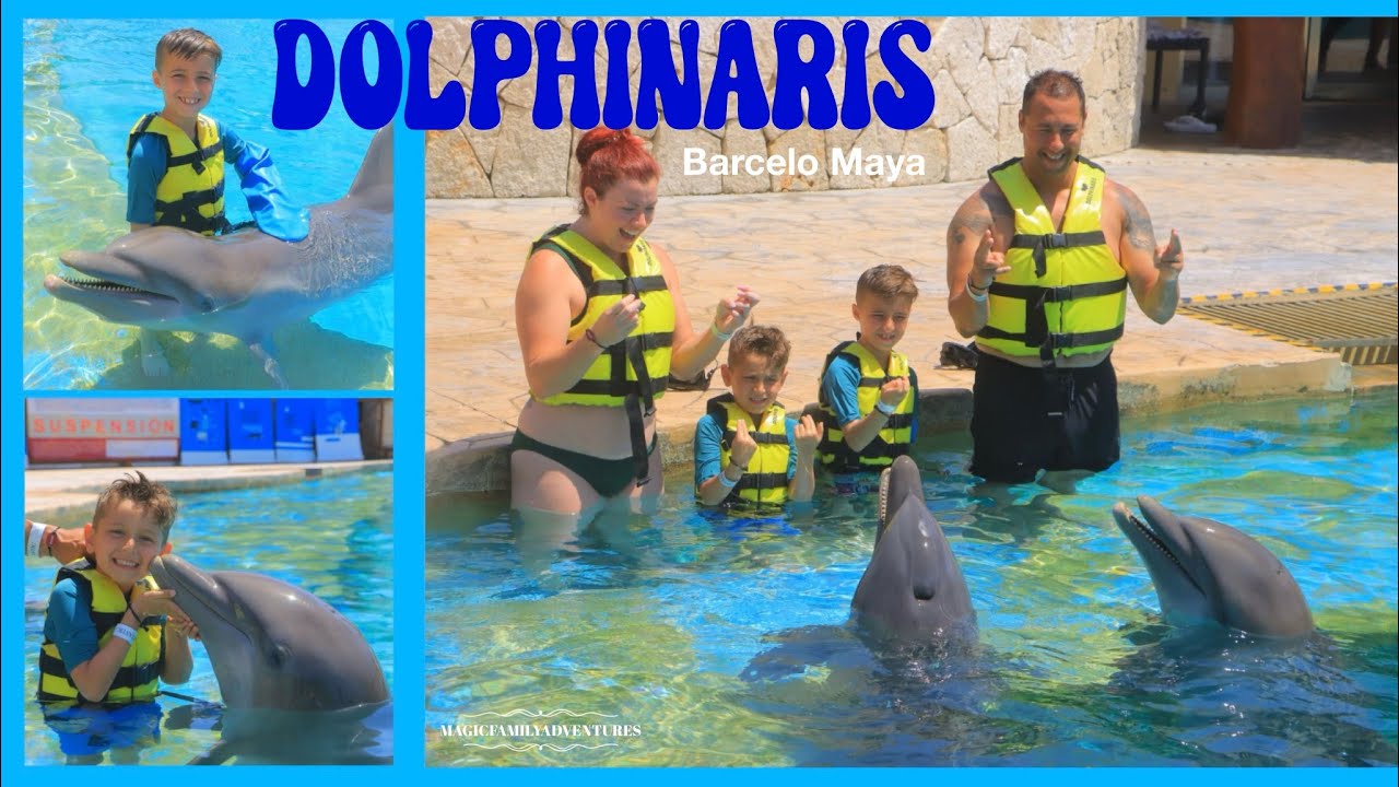 🐬 [4K] SWIMMING WITH DOLPHINS at Dolphinaris – Barcelo Maya Grand Resort, Riviera Maya Mexico!✨