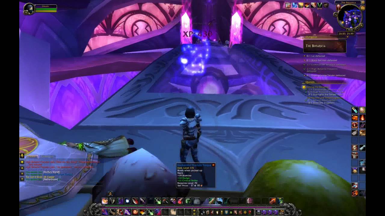 Dungeons - TBC - Tempest Keep - The Botanica