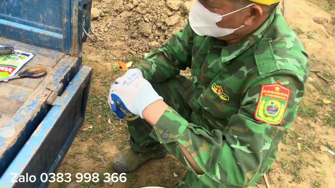 Cách phòng trừ các loại sâu bệnh ở cây đào mới trồng sau tết các nhà vườn cần phải lưu ý