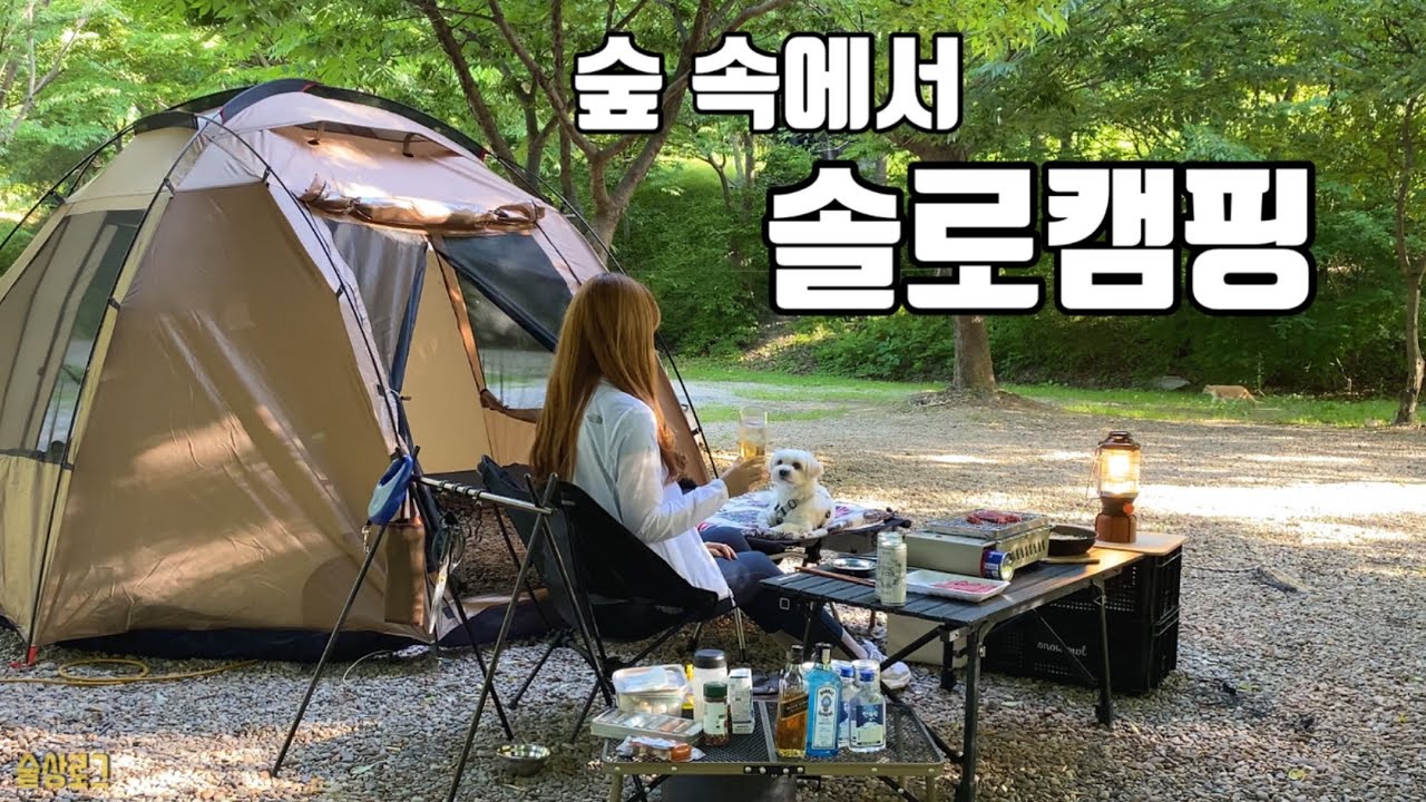 [술상로그] 고요한 숲 속에서 나홀로 혼술하는 솔로캠핑 | 치마살·크림파스타·빨간어묵탕에 조니워커 블랙라벨 그리고...? | 코베아 몬타나 쉘터 | Solo camping vlog