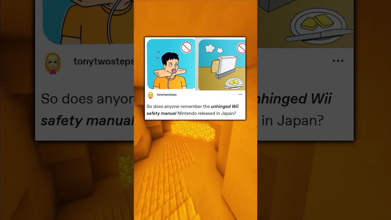 Nintendo Tumblr | Руководство по безопасности Wii