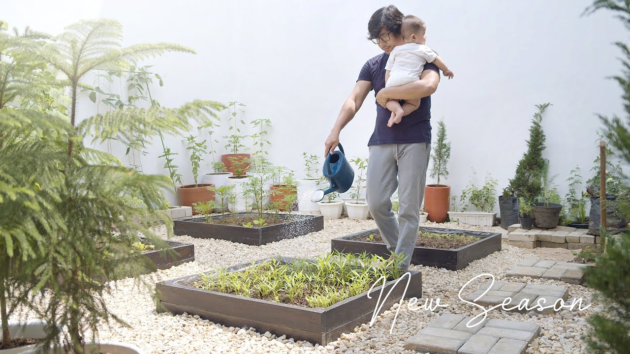 New Season - Berkebun Kembali : Membangun Taman Dari 0