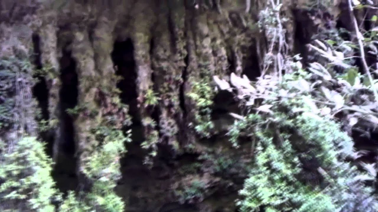 Las Cavernas de Camuy - 2D
