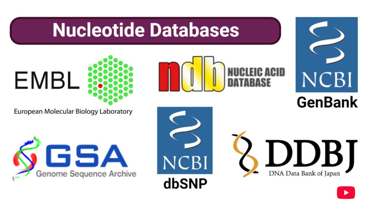 Nucleic Acid Databases/Biological Databases
