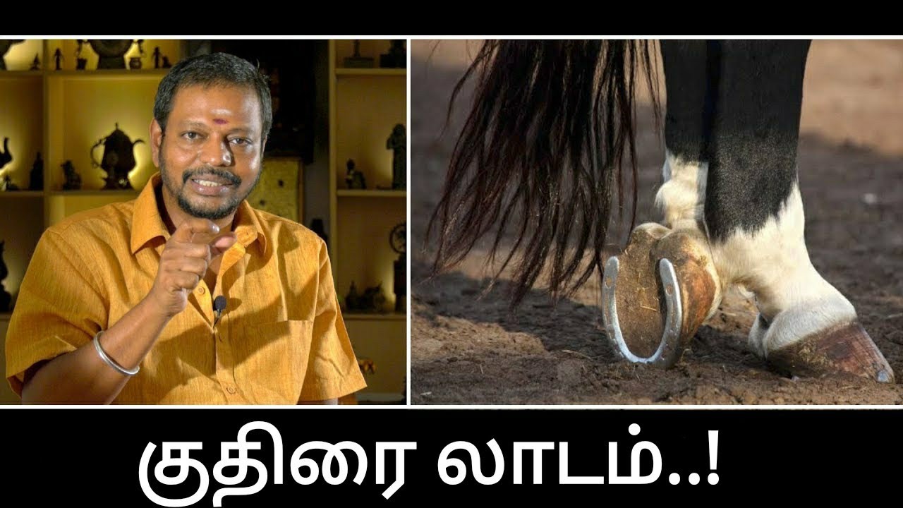 Horse shoe || குதிரை லாடம் பயன்படுத்தும் முறைகள்.. @SadhguruSaiCreationsyoutube1M