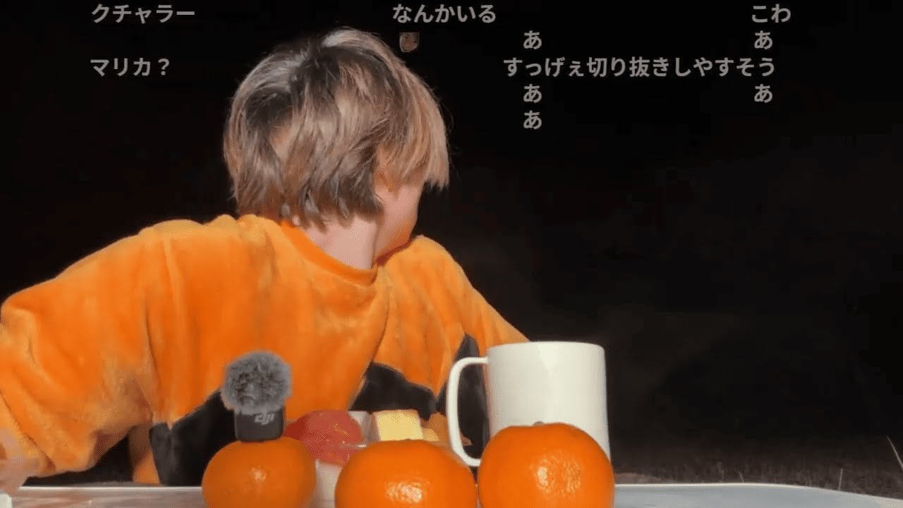 【PDS】コタツでキャンプするぞー 【撮影の裏側】【Twitchコメ付き】