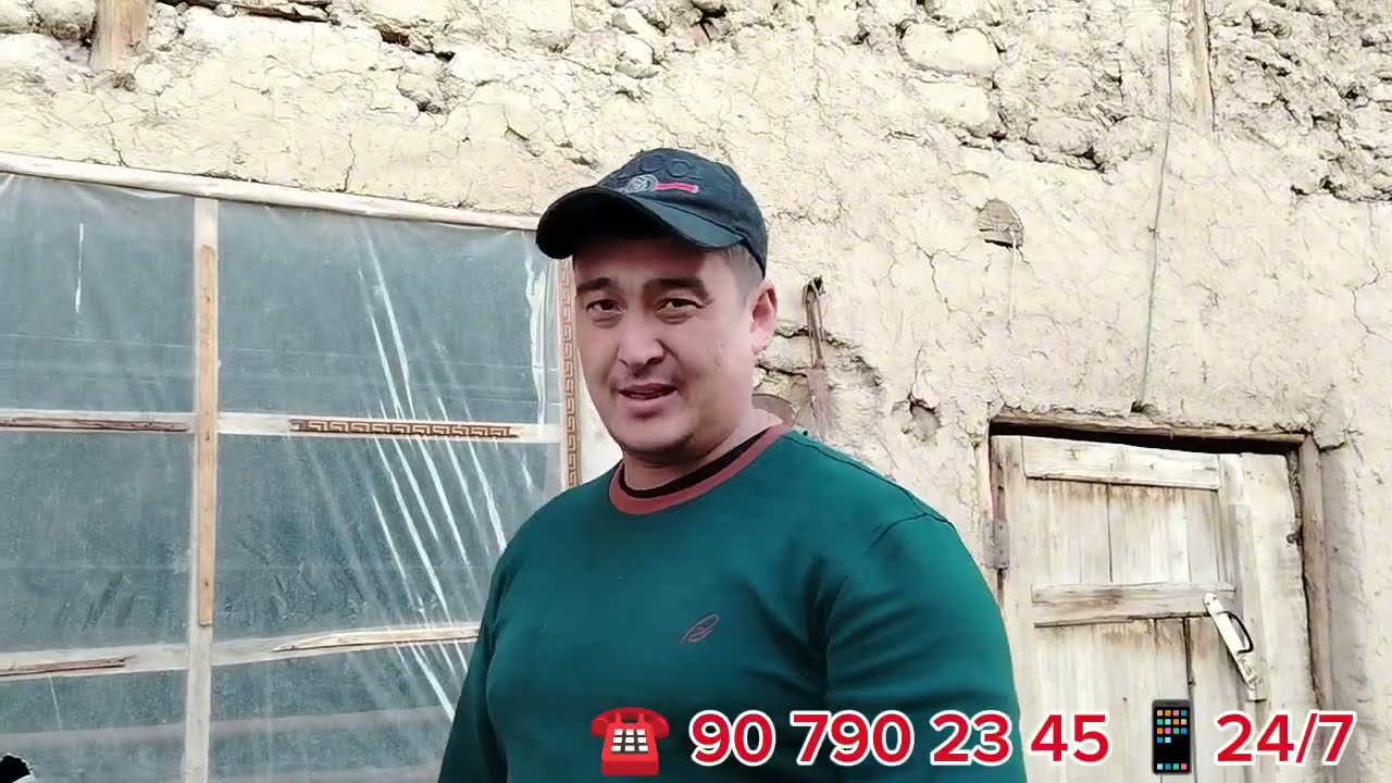 🔥 TO'HLI BO'G'OZ SOVLIQ🔥 QO'ZI SOVLIQ PULI O'TA ARZON 😱 😱 