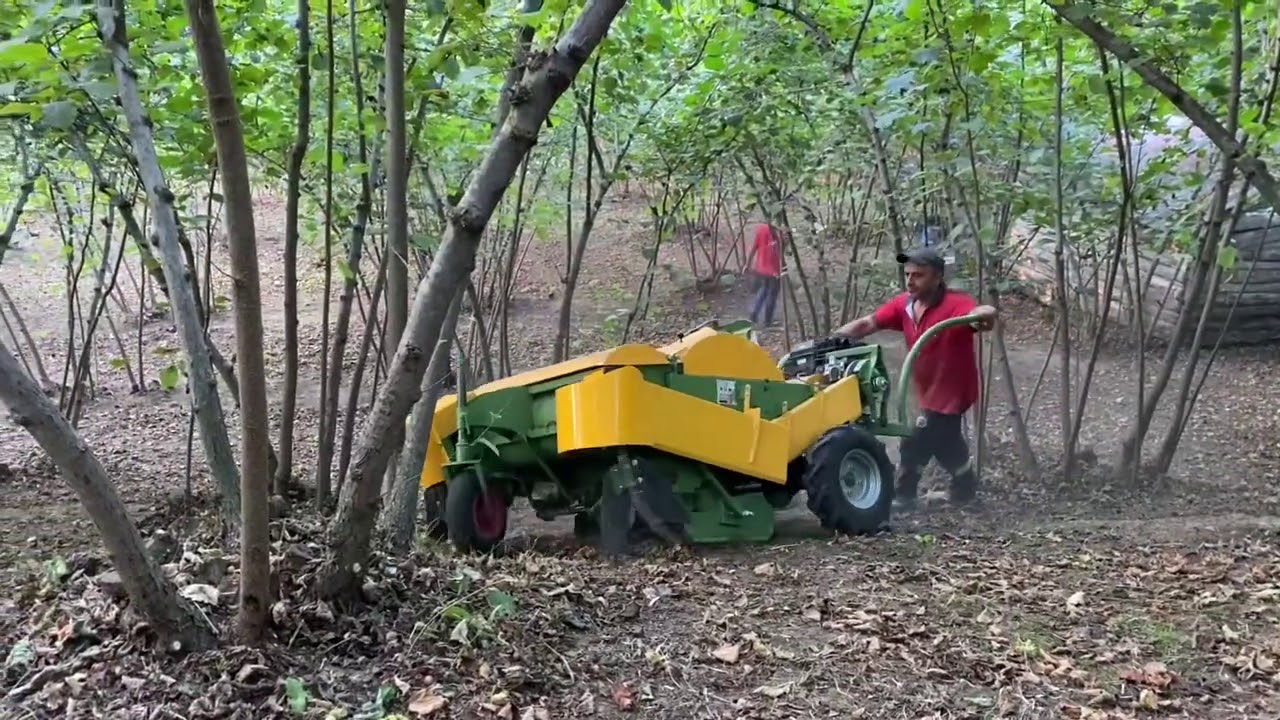 Eğimde Mükemmel Performans! Kummucit Fındık Toplama Makinesi