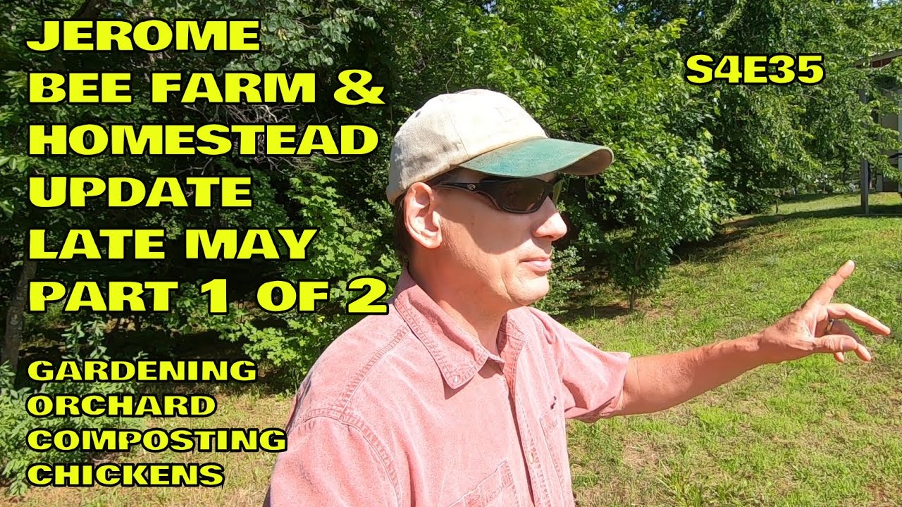 Homestead Update May 2020 Part 1 of 2: Garden, Fruit Trees, Chickens  S4E35 #gardening #chickens