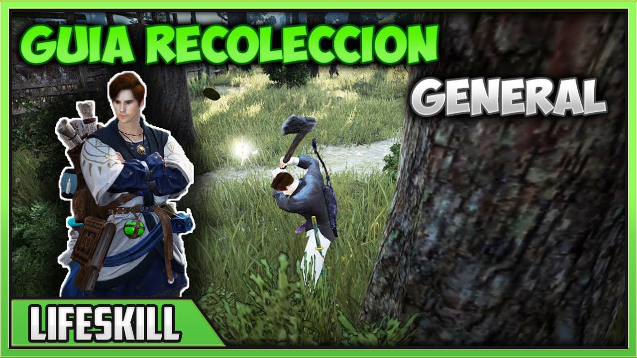 GUIA GENERAL DE RECOLECCIÓN - EQUIPO - MAESTRÍA - FUNCIONAMIENTO