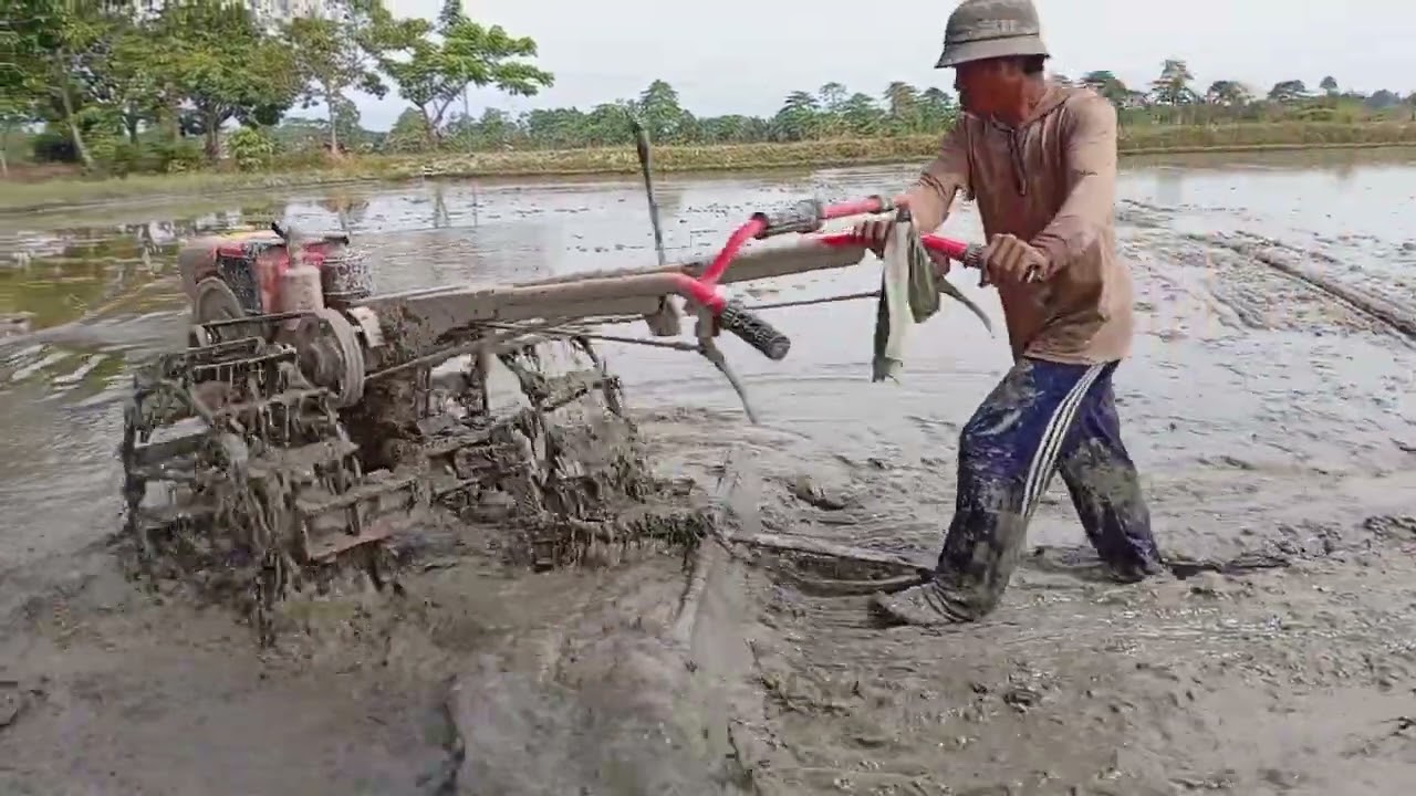 Traktor Sawah!!! Proses Garu  Lahan Untuk Tahap Terakhir