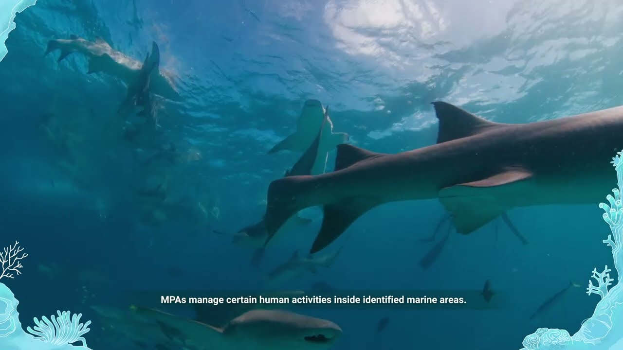 Introductory videos to Marine Protected Areas (MPAs) role in the Maldives