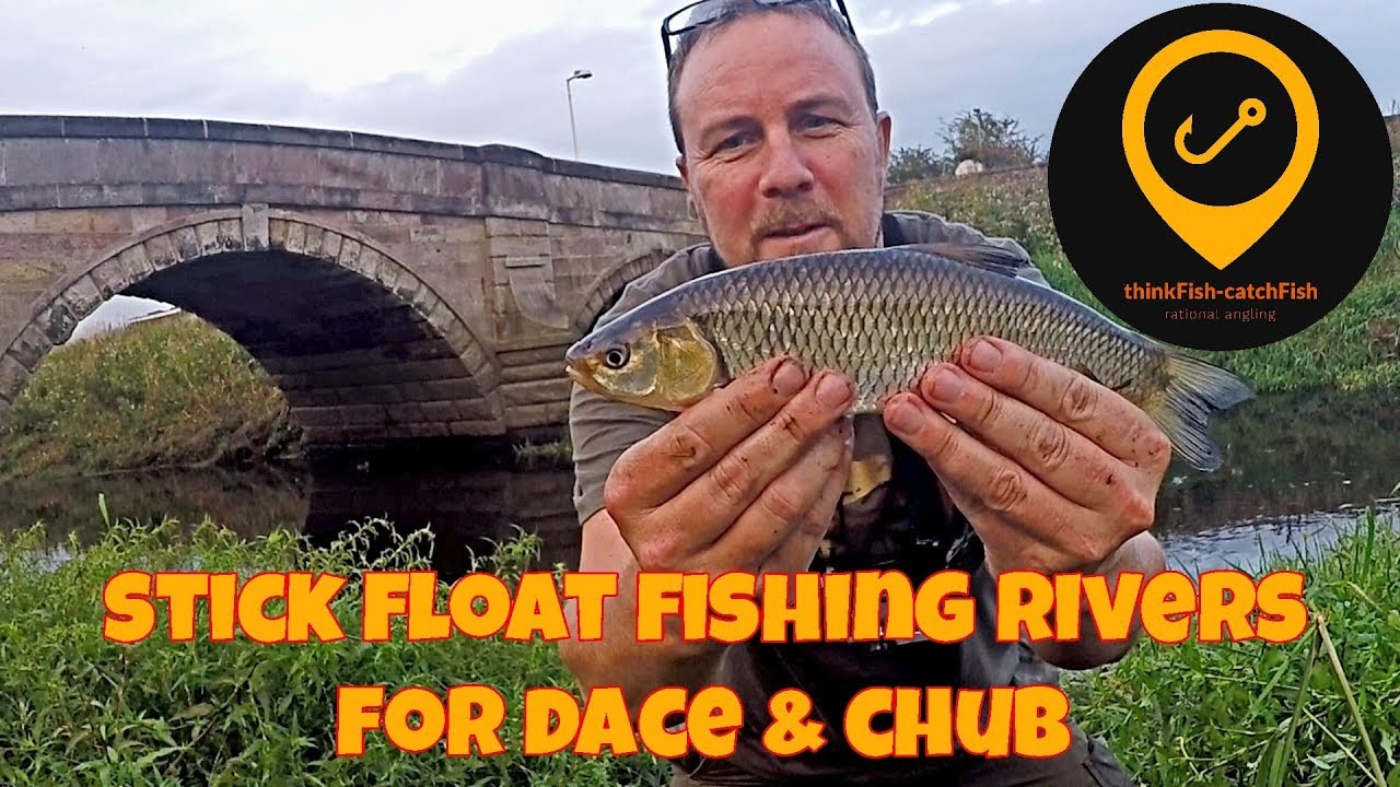 Stick float fishing  on rivers for dace and chub