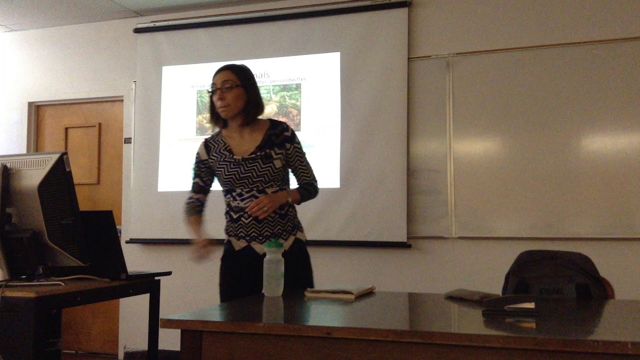 GEOS Seminar: Dr. Carlie Pietsch