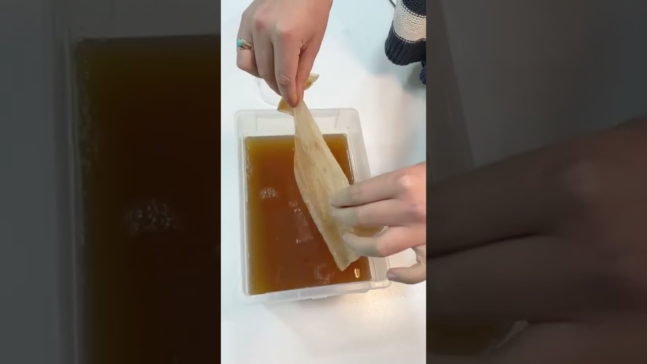 Shemakes Tutorials: Making Kombucha Leather