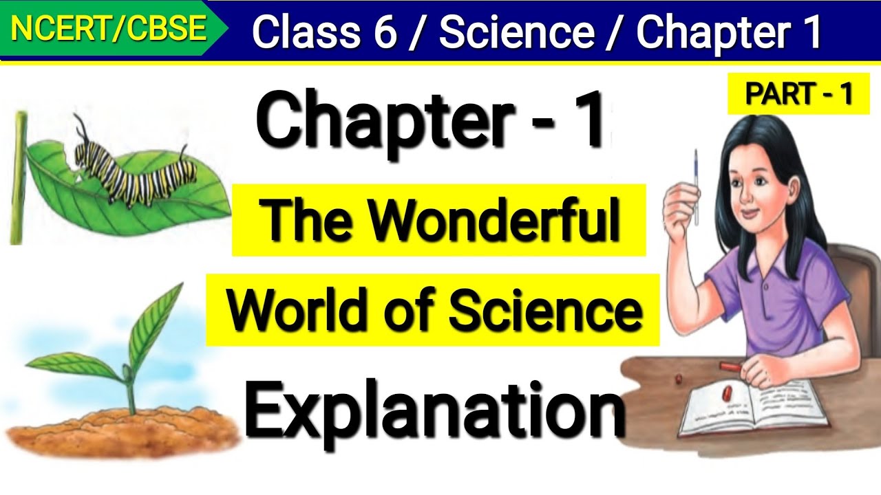 Curiosity | The Wonderful World of Science | Class 6 Science Chapter 1 | New NCERT Book