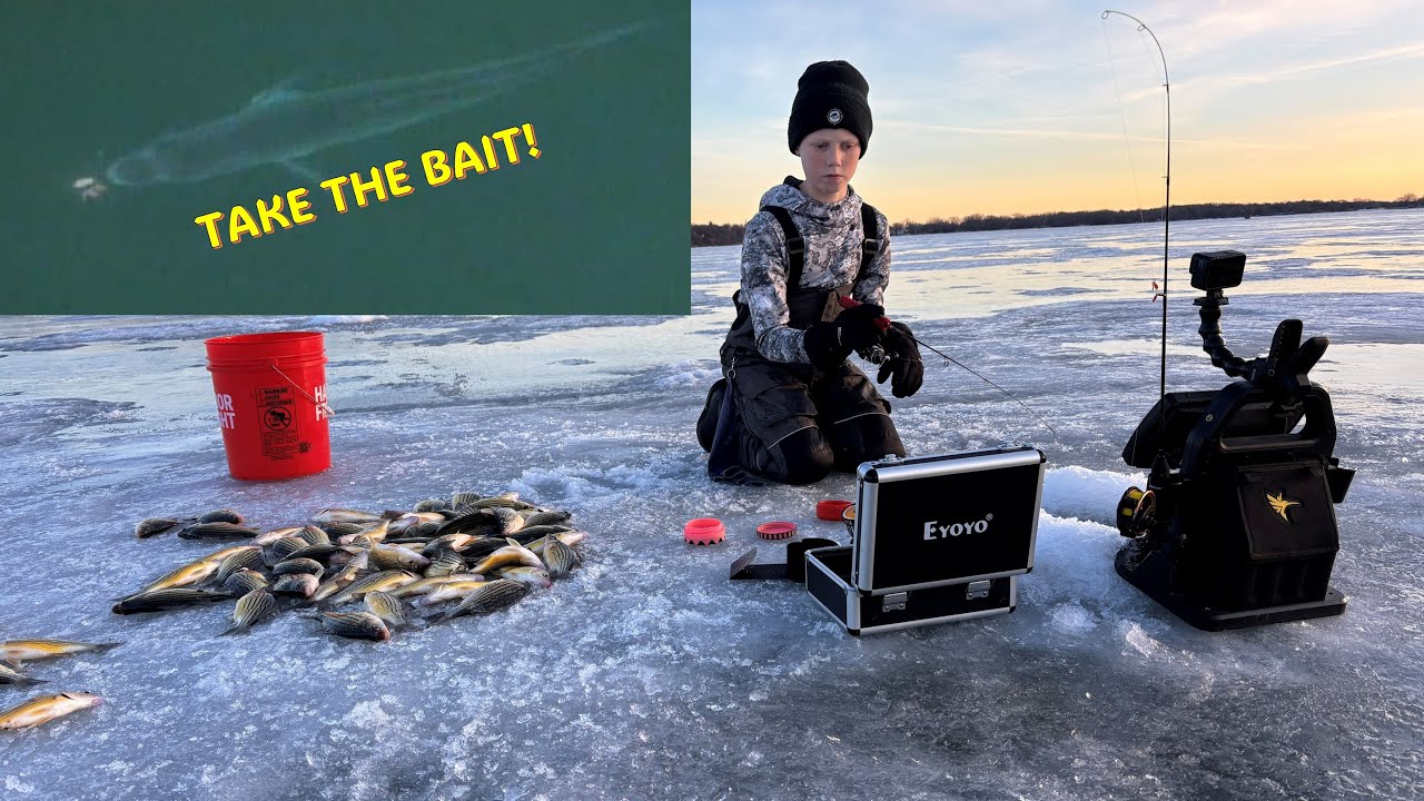 Using an Underwater Camera to Catch Yellow Bass in Fairmont, Minnesota!