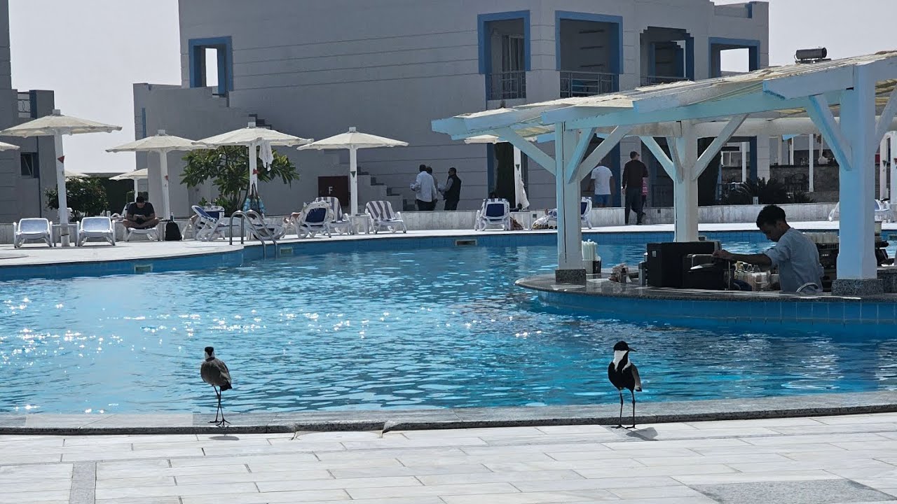 Hotel Casa blue Marsa alam.