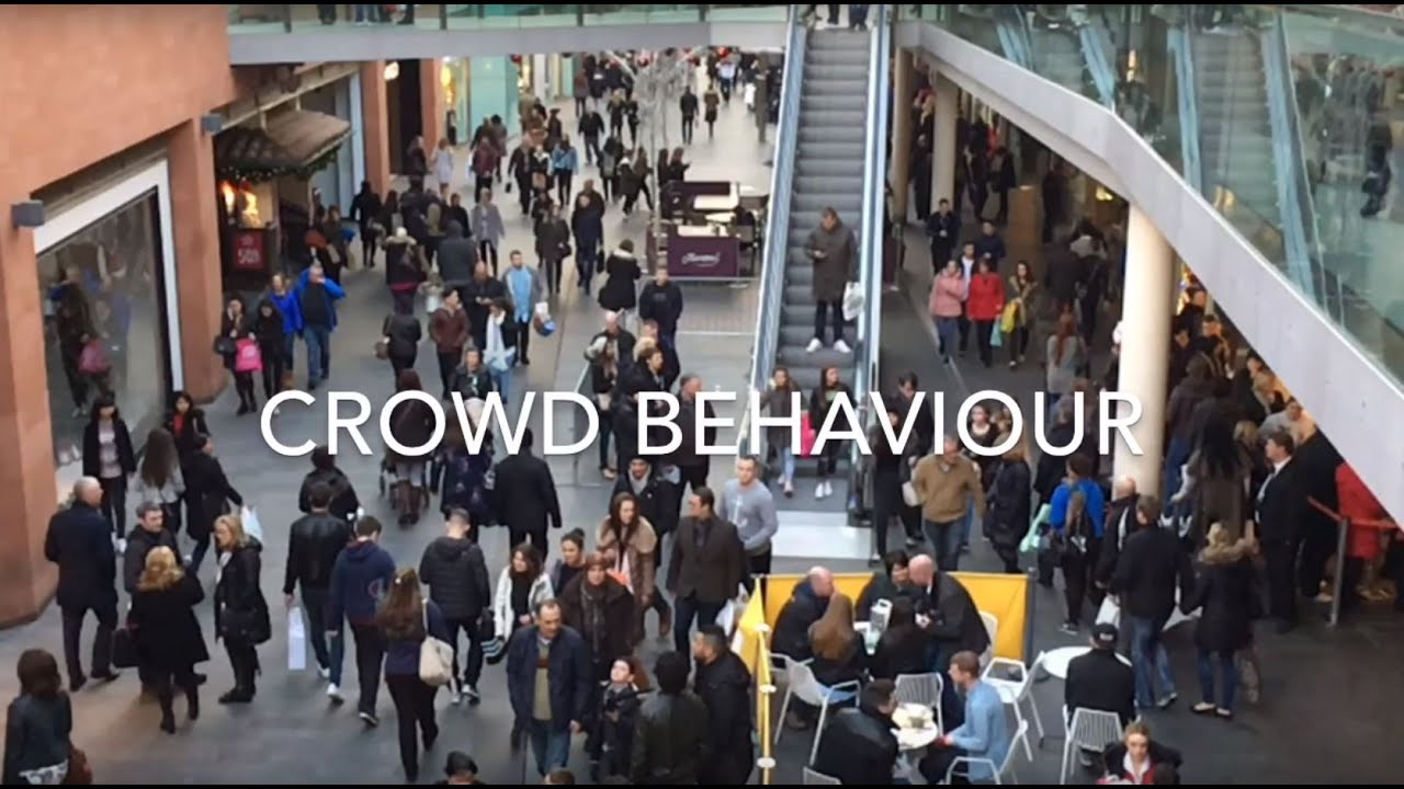 Crowd Behaviour Study - UK Shopping