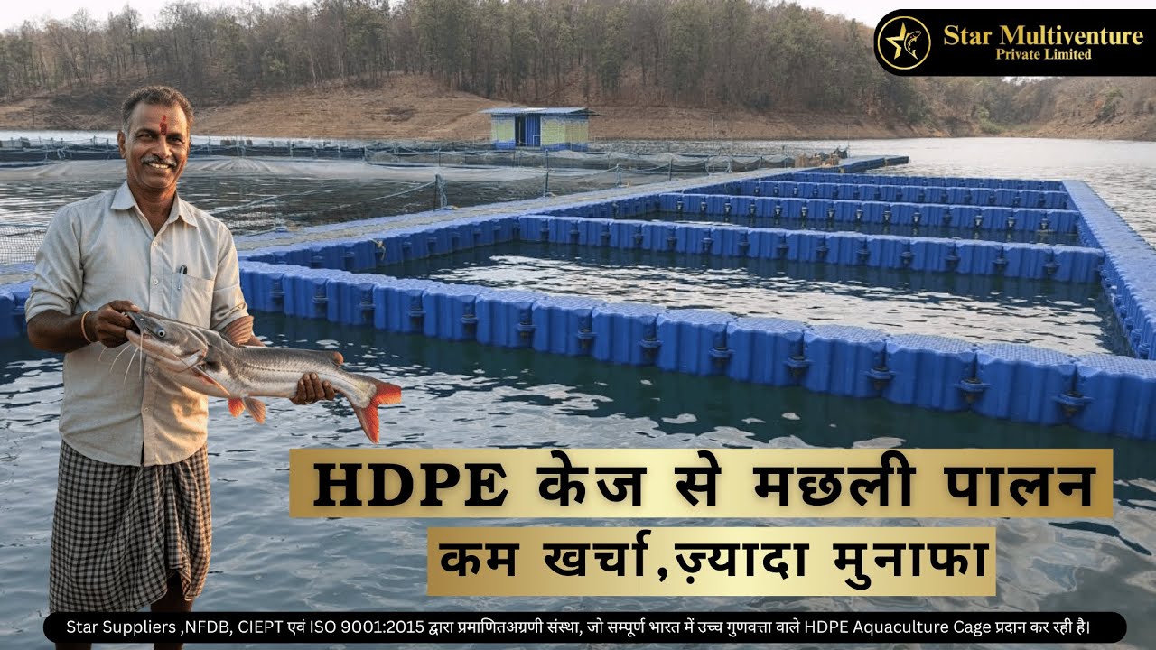 HDPE केज से मछली पालन | Cage Culture | Aquaculture Solution | Star multiventure #aquaculture #fish